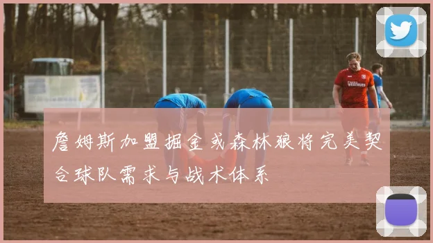 詹姆斯加盟掘金或森林狼将完美契合球队需求与战术体系